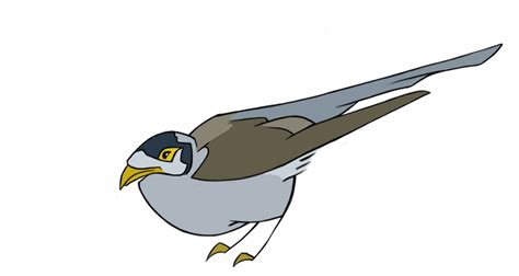 The Big Imageboard Tbib 2014 Ambiguous Gender Avian Beady Eyes Beak Biped Bird Black Eyes