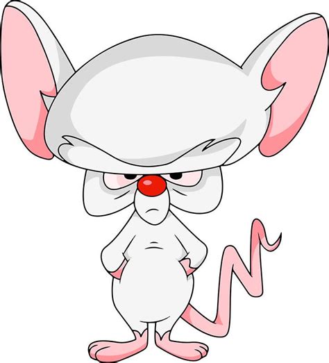 Pinky And The Brain Brain Cartoon Caracters Classic Cartoon