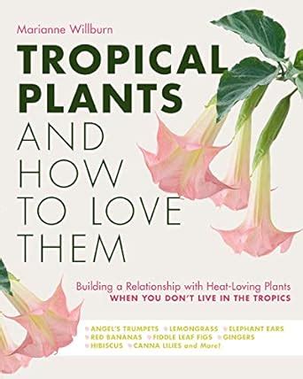 Buy Tropical Plants And How To Love Them Building A Relationship With