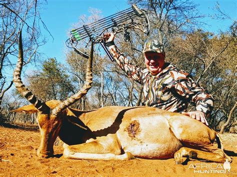 South Africa Bow Hunting Impala