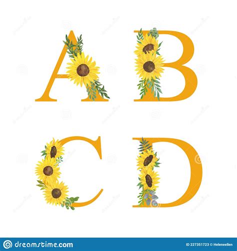 Abc Letters Of Alphabet Decorated With Sunflowers And Leaves Floral