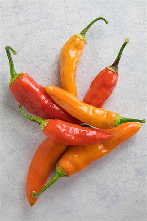 Chili Pepper Types - A List of Chili Peppers and their Heat Levels