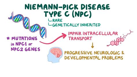 Niemann Pick Disease Type C Video And Anatomy Osmosis