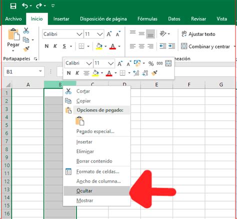 Como Ocultar Y Mostrar Columnas Celdas Y Filas Con Macros En Excel My