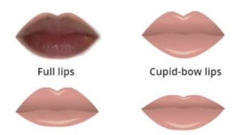 Lip Chart Trend Find Your Lip Shape With The New Tiktok Lip Challenge