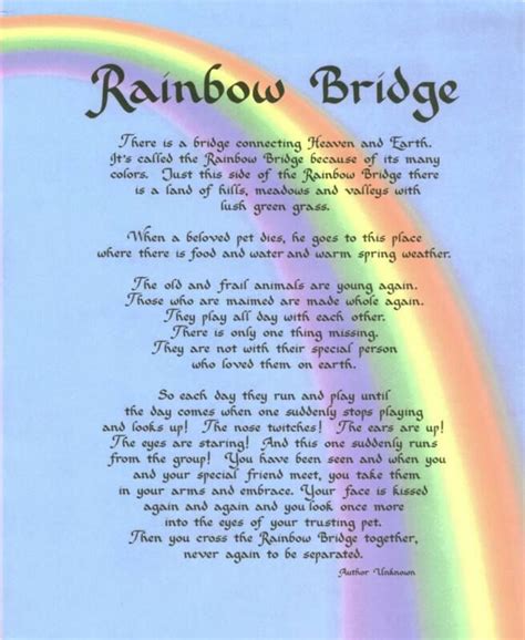 Losing a pet is never easy, but poems and lyrics like those in the rainbow bridge poem might remind you that it's okay to feel and to remember. Rainbow Bridge | Rainbow bridge dog, Rainbow bridge poem ...