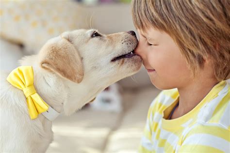 5 Tips For Keeping Your Child Safe Around Dogs Kars4kids Parenting