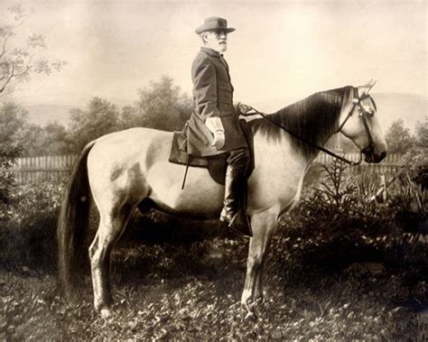Traveler And Robert E Lee