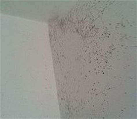Mould on your bathroom ceiling? Hometalk | 4 Awesome Bathroom Cleaning Tricks