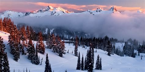15 National Parks To Visit This Winter Mount Rainier National Park