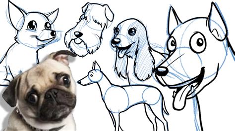 How To Draw A Cartoon Dog All Breeds And On Different