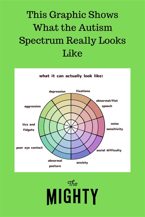 Autism Spectrum Diagram E