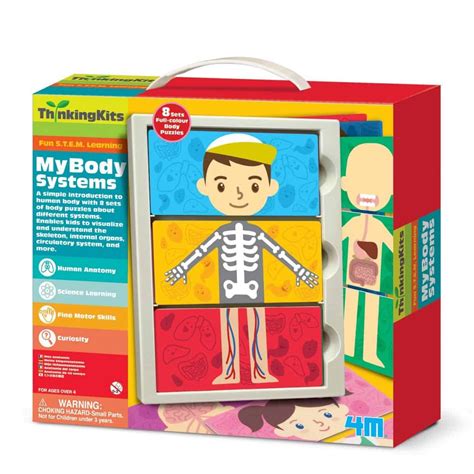 10 Fun Ways To Teach Kids Anatomy