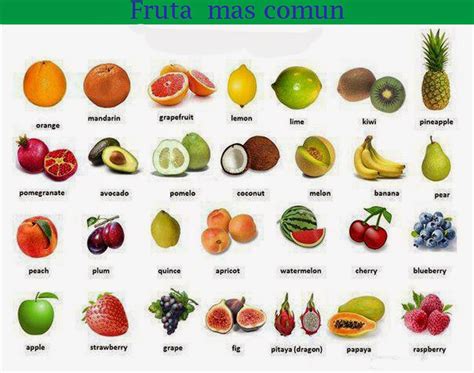 Todas Las Frutas En Ingles