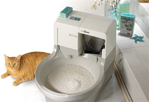 Catgenie Self Flushing Self Washing Cat Box Review Self Cleaning