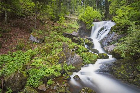 Triberg Waterfall Black Forest Nature Water Forest Germany