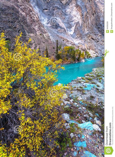 Turquoise River Yellow Tree Mountain Stock Image Image Of Object