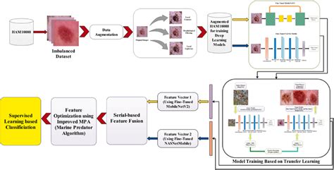 Proposed Framework For Multi‐class Skin Lesion Classification