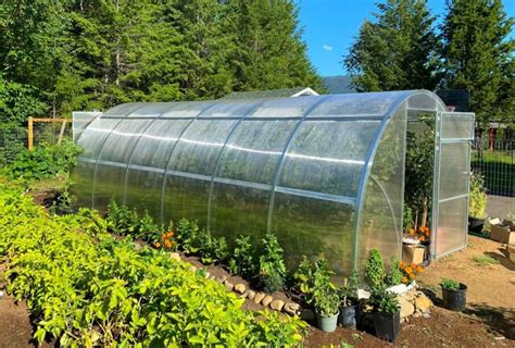 How To Build A Greenhouse That Can Withstand Wind