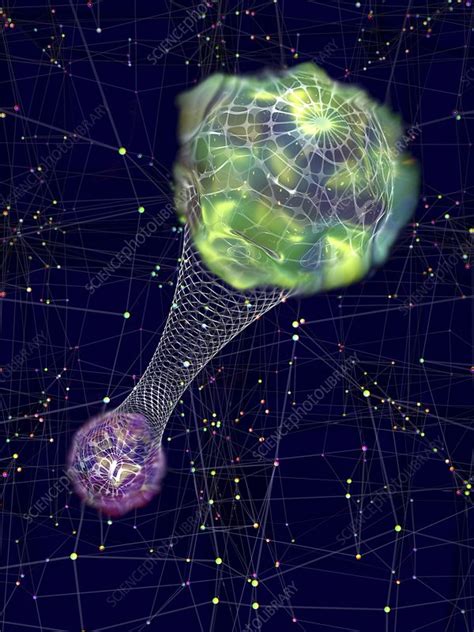Quantum Entanglement Conceptual Illustration Stock Image C0510336