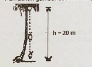 jika masa kelapa tersebut 3 kg dan percepatan gravitasi 10 M s²