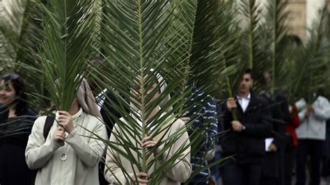 Pope Francis Celebrates Palm Sunday With Faithful At St Peters Square