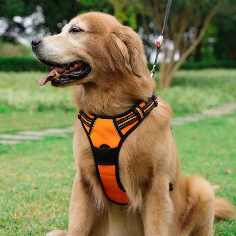 The 6 Best Dog Harnesses Of 2019 Modern Dog Magazine