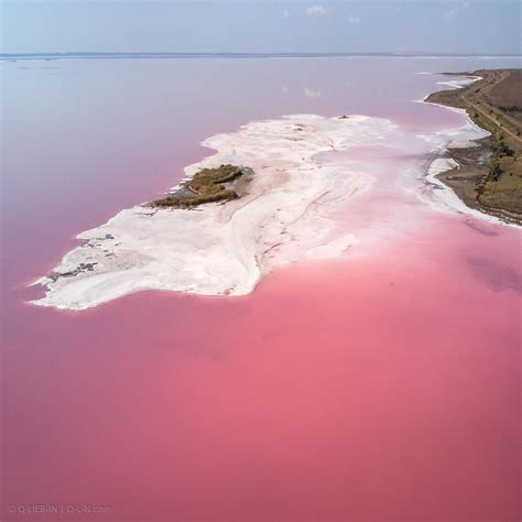 Kherson Region Uninhabited Island Pink Lakes Wild Nature