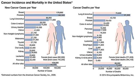 Incidence And Mortality Of Different Types Of Cancer In Both Men And