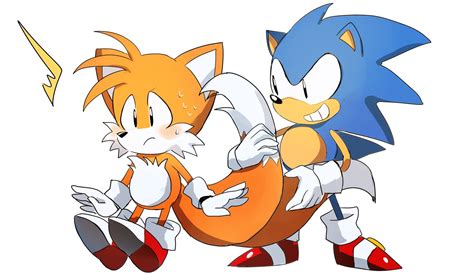 Two Sonic And Tails Fighting Each Other