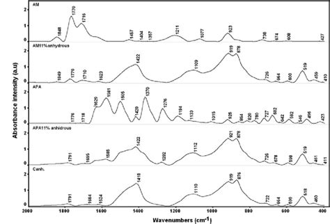 FTIR spectra of anhydrous cement (C anh ), AM, APA and anhydrous