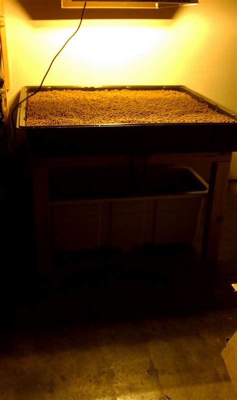 Flood lights sometimes tend to stop working over time eventhough nowadays they use led's. Day 0 on the hydroponic flood table project. Hydroton rinsed, tray table frame built and ...