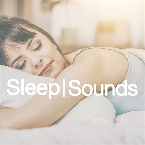 Sleep Sounds Compilation By Various Artists Spotify