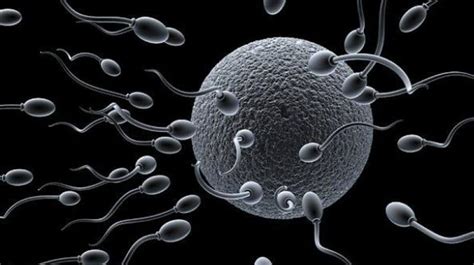 Soon Sperm Sorting Devices May Help Infertile Couples Soon Sperm Sorting Devices May Help