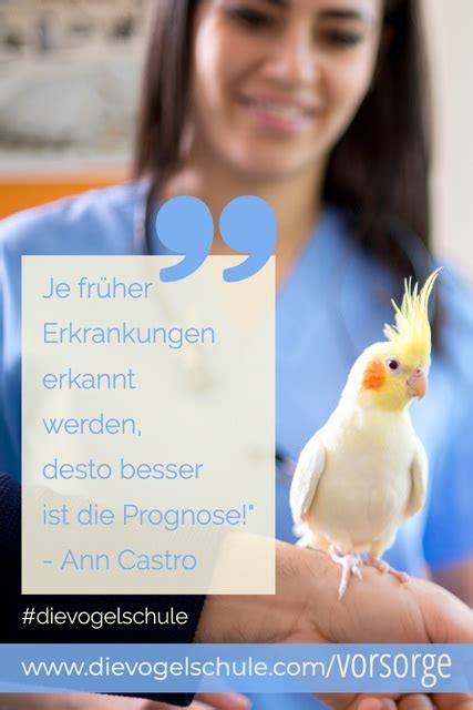 Während der heizperiode ist es wichtig, die heizung zu entlüften, um nicht plötzlich in einer kalten wohnung zu sitzen. Vorsorge bei Papageien & Sittichen - wann, wie wo?