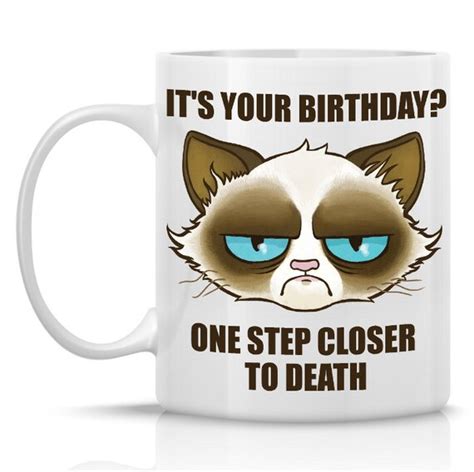 Cactus The Cranky Cat Birthday Mug 11oz Meme Mug By Humeruswares