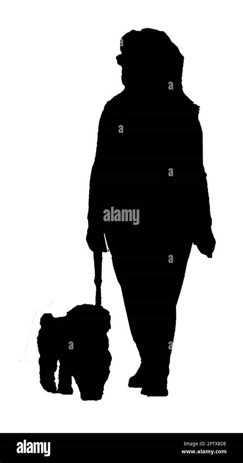 Mature Women Walking With Dog Isolated Silhouette Illustration Stock