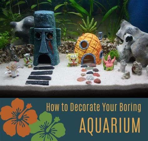 You will also need pvc pipes and a few other materials. 15 Awesome DIY Aquarium Ideas That Are Full Of Creativity
