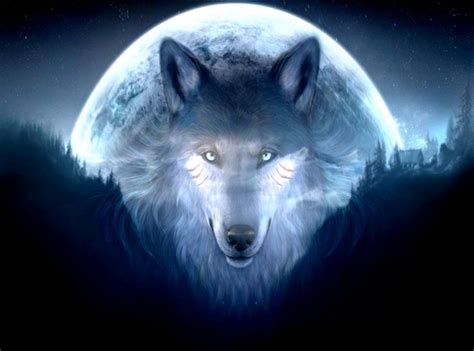 Looking for fun and free games to play online? 3D Wolf Wallpaper Hd | Wolf background, Wolf wallpaper ...
