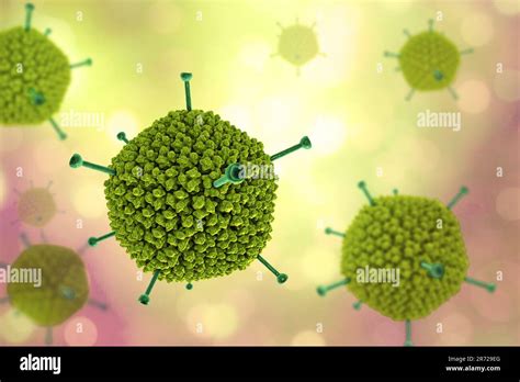 Adenovirus Ilustración De Computadora Que Muestra La Estructura