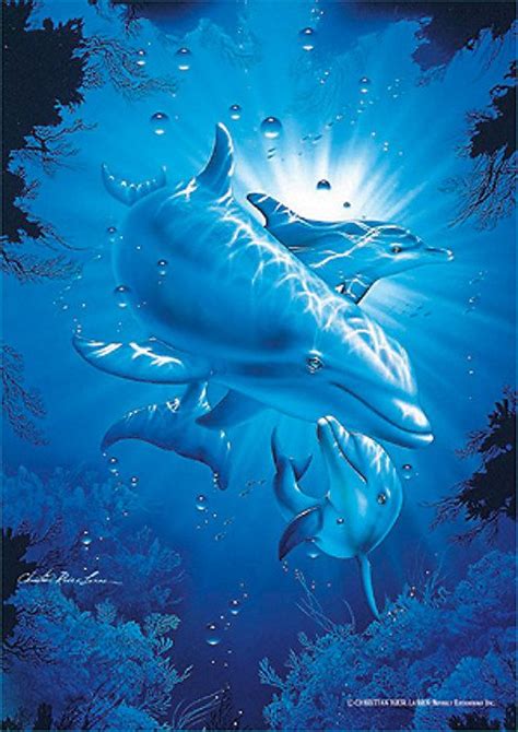 Christian Riese Lassen Dolphin Art Dolphin Images Dolphin Wall Art