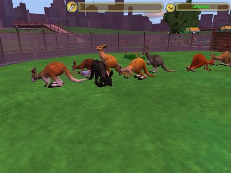 Common Wallaroo Zoo Tycoon Wiki Fandom Powered By Wikia