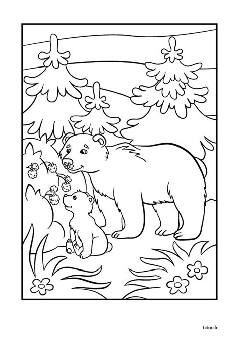 Ours et ourson à colorier  tidou.fr