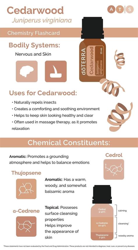 Doterra Cedarwood Cedarwood Essential Oil Essential Oils Doterra