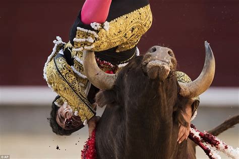 Matador Lorenzo Sanchez Is Pinned To The Floor And Gored By Bull In