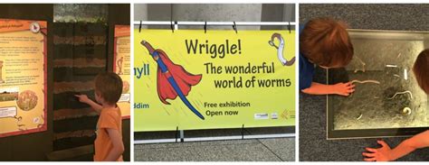 Wriggle The Wonderful World Of Worms At National Museum Cardiff