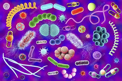 Microbes Of Different Shapes Stock Photo By ©katerynakon 125316728