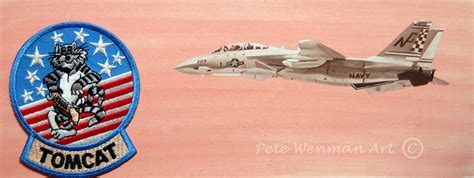 Pete Wenman Aviation Art Playing With Paint