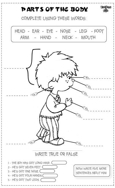 RECURSOS PARA LA CLASE DE INGLÉS: PARTS OF THE BODY