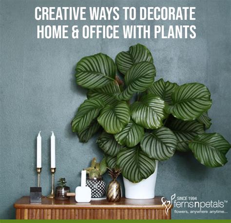 Creative Ways To Decorate Home And Office With Plants